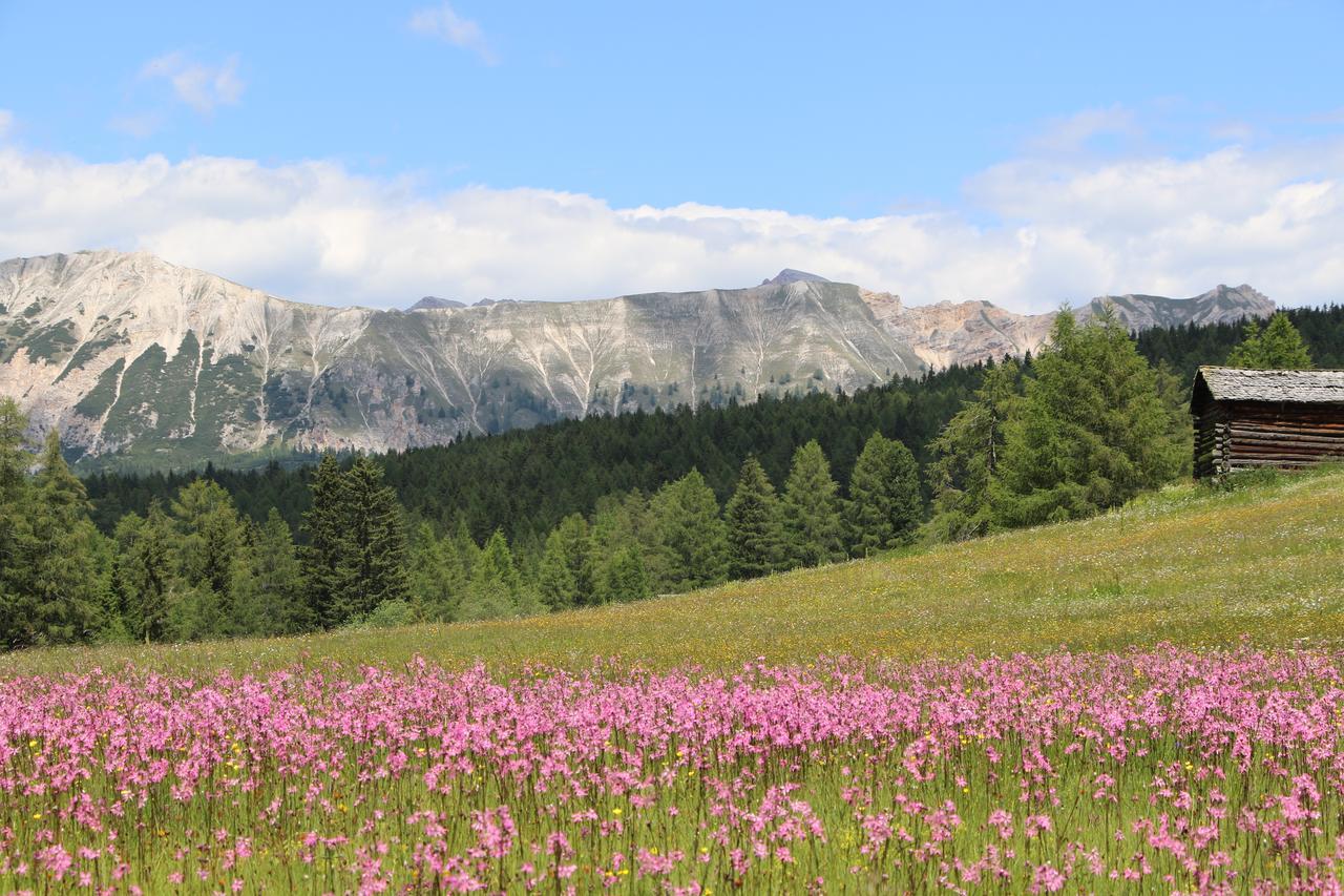 Hotel Alpenrose Dolomites La Valle Esterno foto