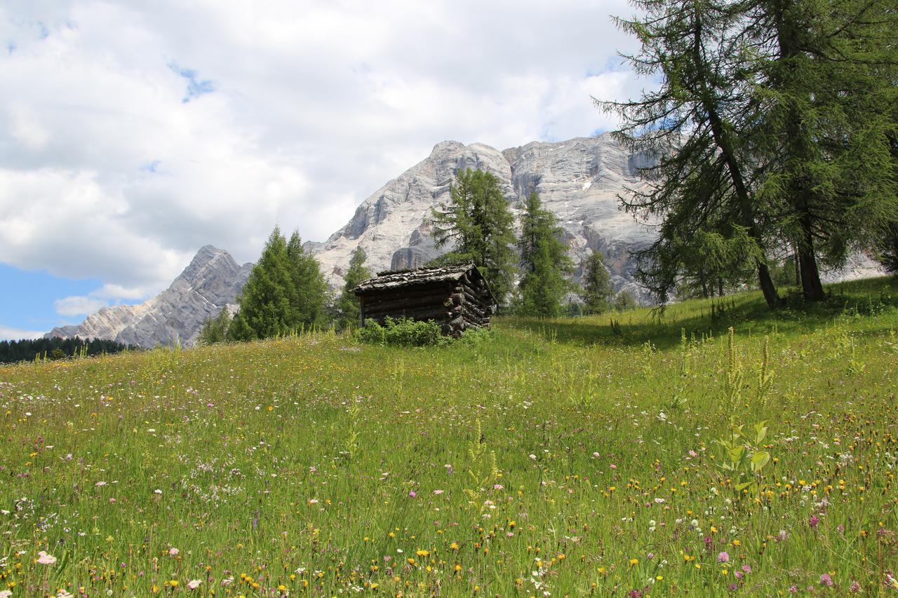 Hotel Alpenrose Dolomites La Valle Esterno foto